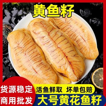 Large Yellow Croaker Roe, Fish Maw, White Fish Blubber, Assorted Fresh Seafood Roe, Frozen Commercial Wholesale