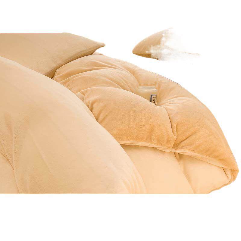 Antarctic Thickeneded Warm Milk Velvet Quilt Bed Four-Piece Set Double Quilt Cover Bed Sheets Student Dormitory Three-Piece Set
