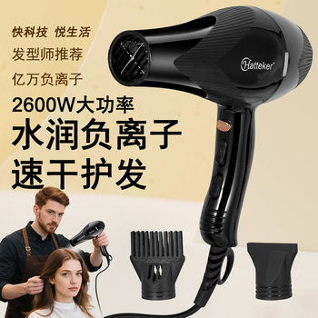 Household High-Power 2600W Hair Dryer Negative Ion Hair Care Hot and Cold Air Alternating Hair Salon Special Hair Dryer Wholesale