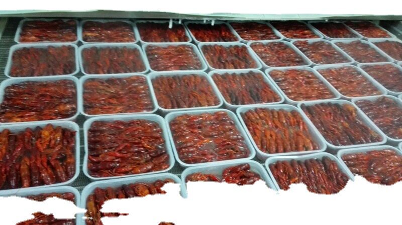 Fresh Crayfish Frozen Crayfish Freshwater Lobster 456 Yuan Frozen Crayfish Jiangsu, Zhejiang, Shanghai and Anhui 1.0kg Free Shipping