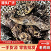 Deep-Sea Tiger Spot Wholesale, Sea-Caught Grouper Tiger Spot, Now Killed, Frozen, High-End Fresh Seafood Hotel Catering Supply