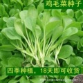 seller product image