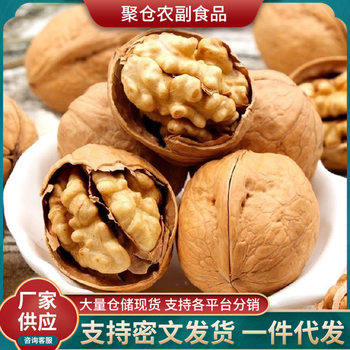 Wholesale and Delivery of Xinjiang 185 Paper-Skinned Walnuts 500g, Hand-Peeled, Large Kernels, Longyuan Village Open-Shell Walnuts