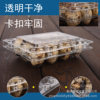 Plastic Quail Egg Tray 18 Pieces Disposable Transparent Quail Egg Packaging Box Wholesale Shock-Proof Multi-Specification Quail Box