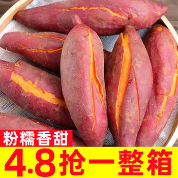 Fresh Sweet Potatoes 5kg Freshly Dug Chestnut Roasted Sweet Potatoes Sugar Heart Sweet Potatoes Sandy Farm Self-Grown Sweet Potatoes Small Sweet Potatoes