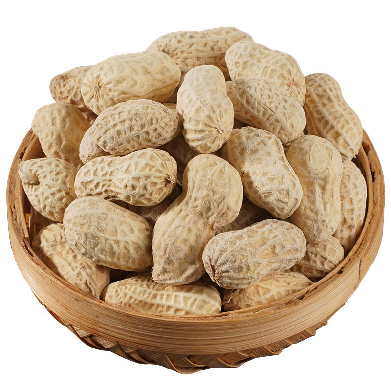 Boiled Peanuts, Fresh Peanuts, Boiled Salted Peanuts, Salty Dried Peanuts, Leisure Snack Nuts, Peanuts[Yt18]