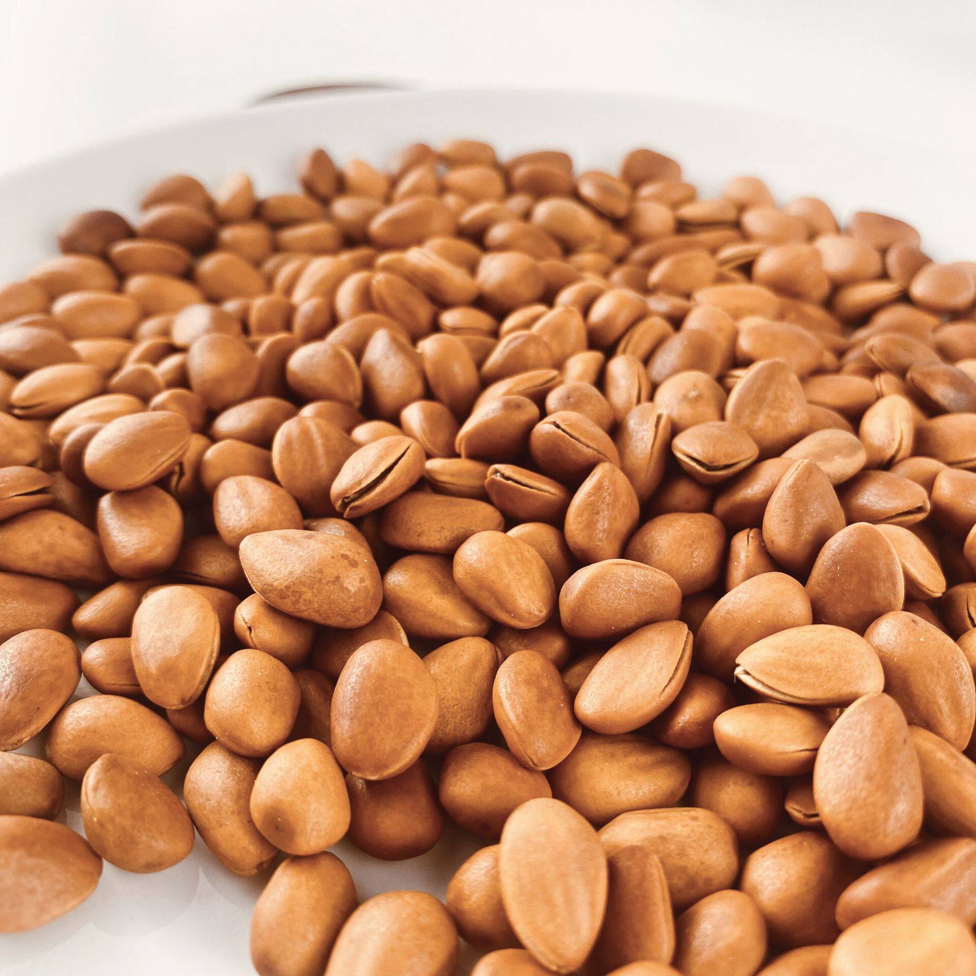 2024 New Wholesale Northeastern Pine Nuts Bagged Selection of Good Pine Nuts, Nuts, Dried Fruit Snacks, Large Capsules, Open Pine Nuts