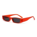 C9-sand red frame-black gray film