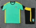 2627 short sleeve jordan brazil light green