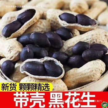 Black Peanuts, Selenium-Rich Black Peanuts, Fresh Sun-Dried Raw Sweet Peanuts, Black Purple-Skinned Peanuts, Original Flavor