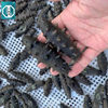 Sea Cucumber Salted Semi-Dried Salted Non-Dalian Sea Cucumber 500g Factory Wholesale Can Be Used as Hotel Commercial Ingredients
