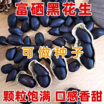 2025 New Selenium-Rich Black-Skinned Peanuts, Black Peanuts, Pure Black Raw Shelled, High-Quality Seeds, Specialty Products, Free Shipping