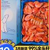 Arctic Sweet Shrimp, Polar Bear, Arctic Shrimp Sashimi, Head Seeds, Belly Seeds, Extra Large Ice Shrimp, Fresh Frozen Ready-To-Eat Flagship Store