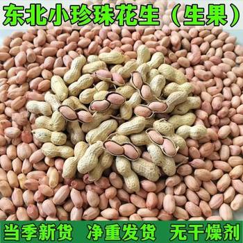 The season's new small pearl shelled peanut small seed small Japanese shelled peanut agricultural products peanut a generation of hair