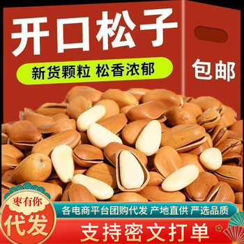 New large grain northeast pine nuts large bags 250g original open pine nuts dried fruit snacks wholesale in bulk