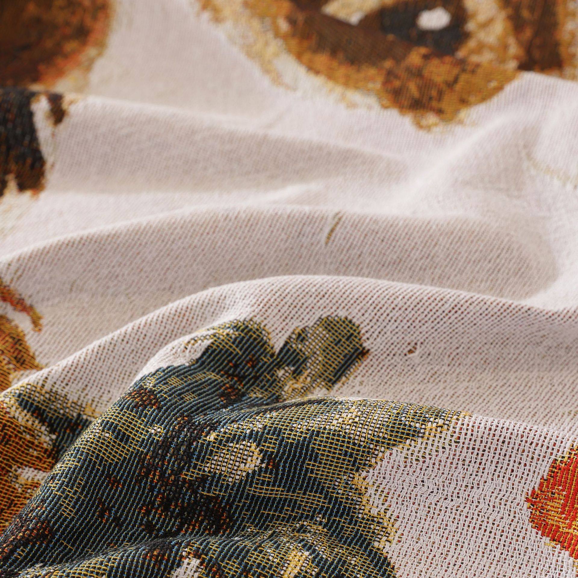 Export Cross-Border Supply of Cute Pet Cartoon Sofa Blanket, Sofa Towel, Decorative Tapestry, Camping Blanket, Dust Cover, Double-Sided Use