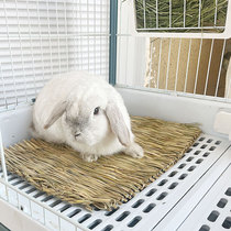 New Products Spring Summer Cool Grass Mat Hay Mat Prevention Medium Heat Stroke Dragon Cat Guinea Pig Supplies Grass Choreography Reductive Nature Edible