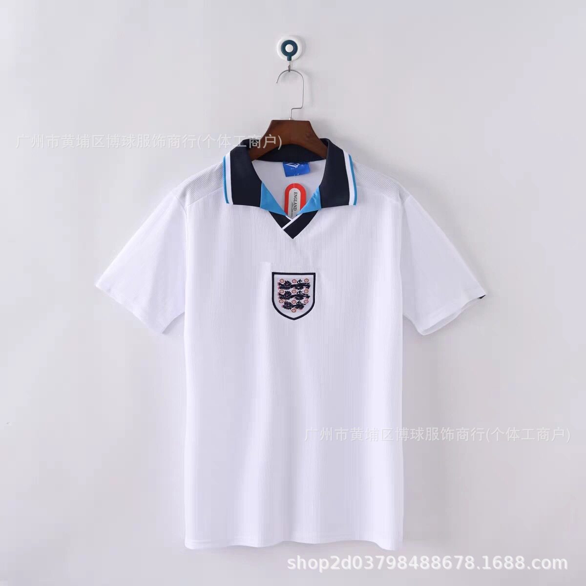 1996年イングランドのホームゲーム