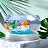 Factory Direct Sales Thickeneded Glass Fish Tank Turtle Tank Large Landscaping Micro Landscape Ornaments Aquatic Plant Tank Thickeneded Fish Tank