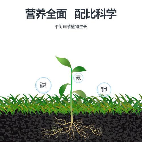 芽动力有机肥饼肥发酵芝麻饼花卉果树阳台盆栽菜园地栽营养料花 - 图1