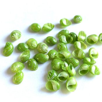 Jade Snail, Bean Snail, Shell Conch, Mini Small Conch 0.4- 0.7cm Specimen Collection