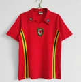 1976/79 season wales home game