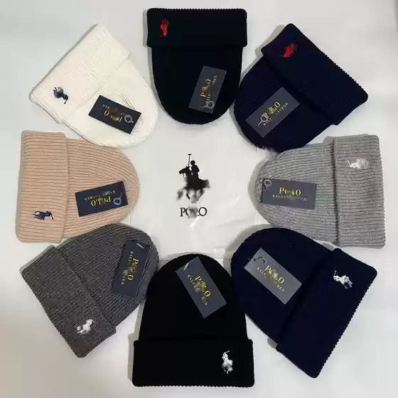 Autumn and Winter New Pony Embroidered Woolen Hat European and American Trendy Brand Simple Knitted Hat Outdoor Leisure Warm Pullover Hat