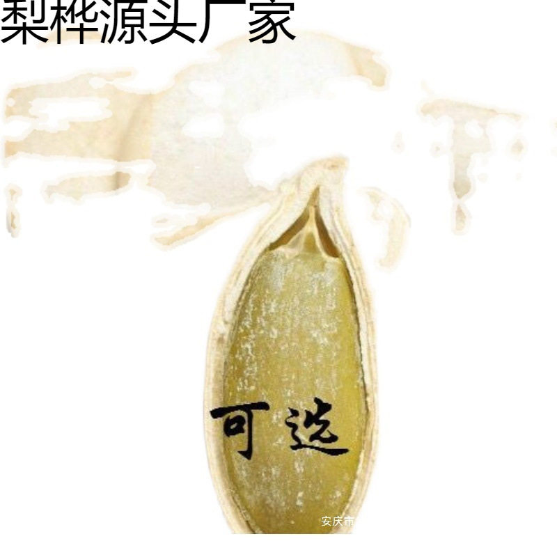 New Arrival Without Desiccant Raw Pumpkin Seeds 2.5kg 2 Pounds 0.5kg Raw or Cooked Optional Melon Seed Nut Snacks