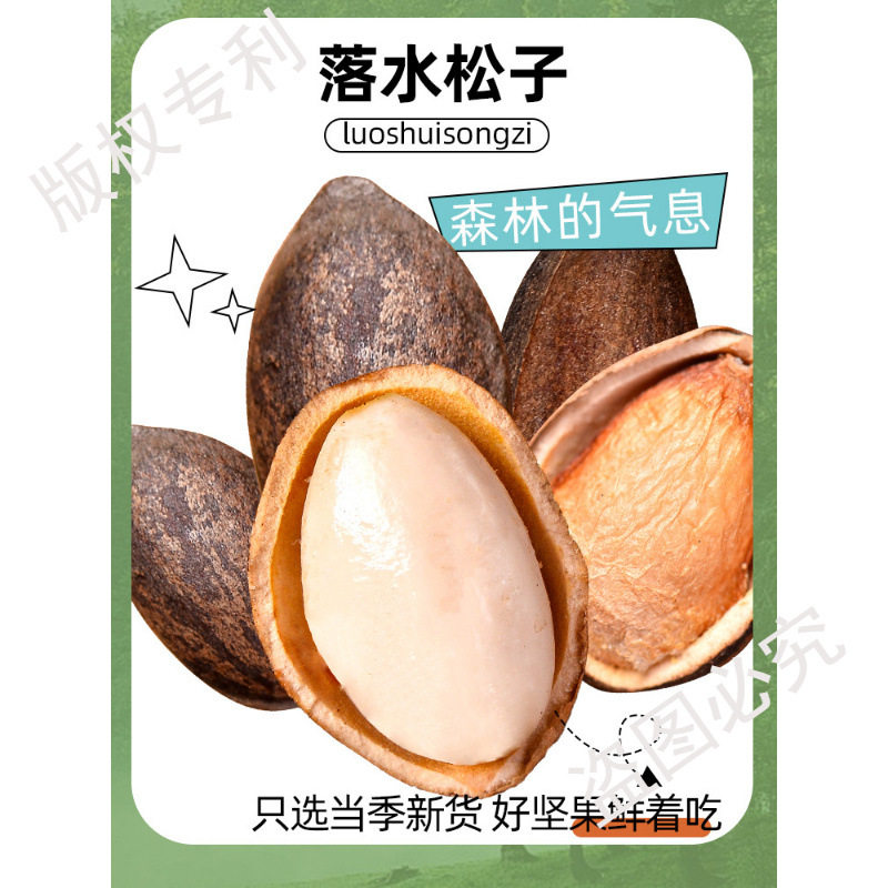 Yunnan Raw Pine Nuts in Bulk Large Particles 2024 Fresh New Goods for Pregnant Women Hand-Peeled Non-Northeastern Open Pine Nuts