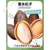Yunnan Raw Pine Nuts in Bulk Large Particles 2024 Fresh New Goods for Pregnant Women Hand-Peeled Non-Northeastern Open Pine Nuts