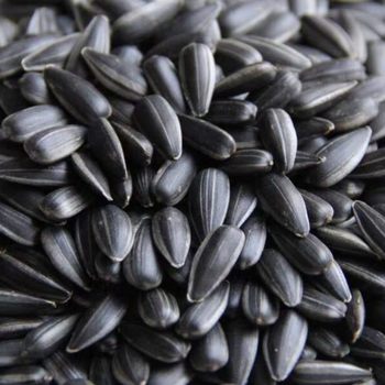 Sunflower Seeds with Black Pearl Flavor 2.5kg New Year Small Sunflower Seeds 1.0kg Roasted Seeds with Light Butter Salt Original Flavor Snack