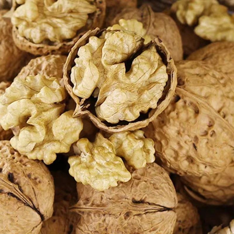 Yunnan Walnuts, Hemp Fruits, Walnuts, Wholesale Manufacturers, Straight Hair, Thin-Skinned Walnuts, Walnuts, Export Business Inspection