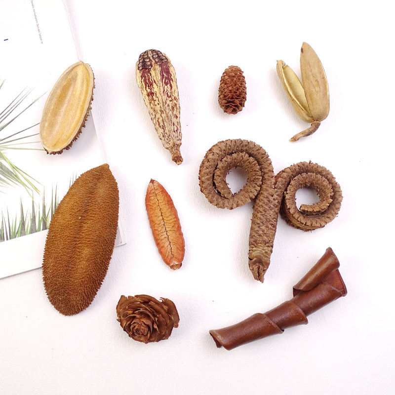 South American and South African Brazilian Fruit Shell, Hot-Beattiba Fruit, Terelong Beta Fruit, Hedgehog Shell, Handmade DIY Photo Frame Teacher's Day