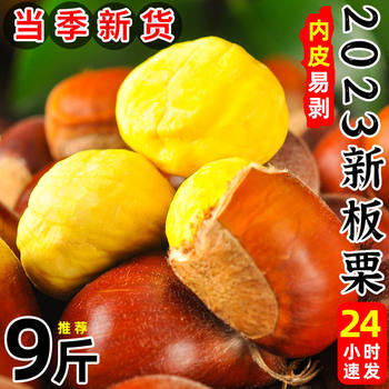 Qianxi Chestnut Fresh Chestnut Raw Chestnut Oil Chestnut Fresh Ready-to-eat Wedding Supplies Selected Wholesale Price Cross-border E-commerce