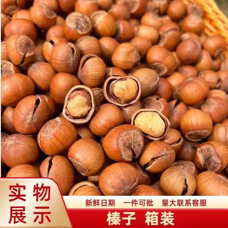 500g of Original Roasted Hazelnuts, Dried Nuts, Snacks, New Year Goods, Cooked Non-Wild Northeast Specialty Large Hazelnut Kernels