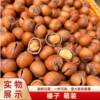 500g of Original Roasted Hazelnuts, Dried Nuts, Snacks, New Year Goods, Cooked Non-Wild Northeast Specialty Large Hazelnut Kernels
