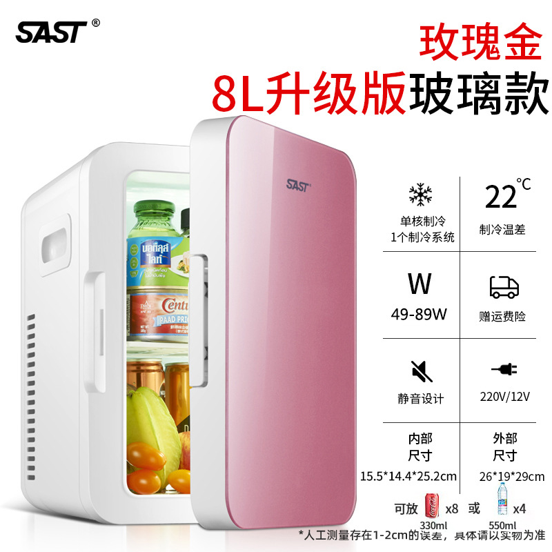先科车载冰箱家用小型冷暖箱车家两用学生宿舍迷你小冰箱冷藏箱