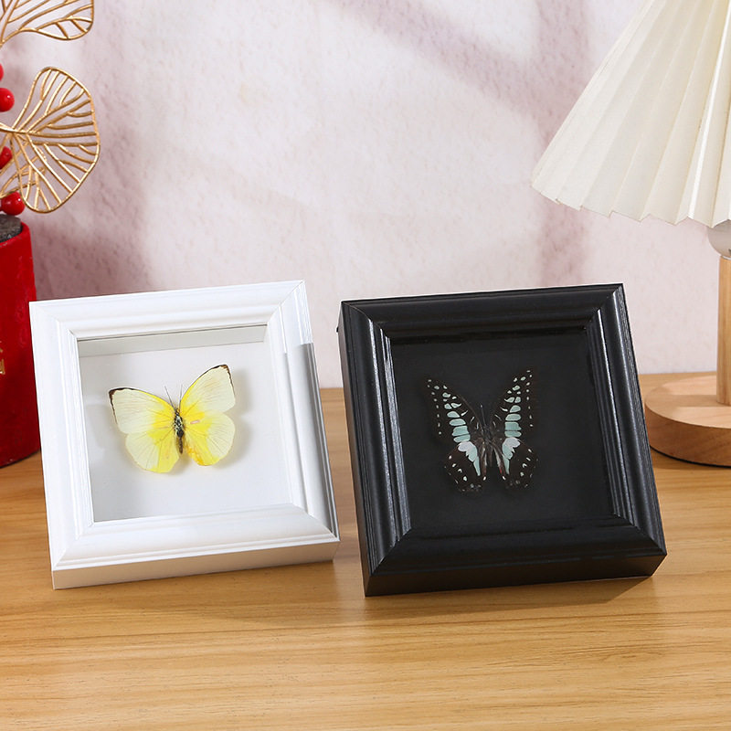 European Butterfly Collection Photo Frame Square Stereo Hollow Glass Photo Frame Table DIY Butterfly Insect Picture Frame