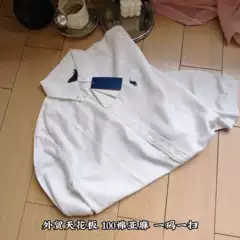 Original Export Pl Classic Pony Embroidered Linen Long-Sleeved Work Clothing Casual Loose Versatile Shirt for Women