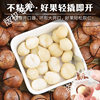 Macadamia Nuts Whole Box 2.5kg Bulk Creamy Pecans Original Raw Dried Fruit 5kg Wholesale Flagship Store