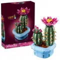 Flowering cactus