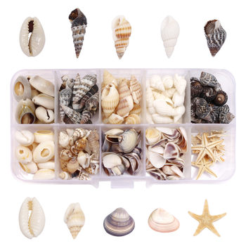 Non-Porous Natural Conch Shell Starfish Decoration Fish Tank Aquarium Landscape Scenery Props Set Material Package