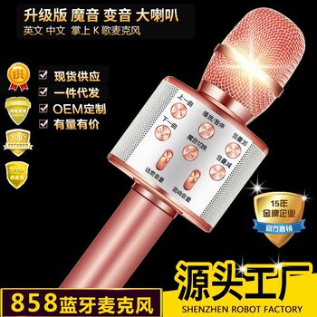 Ws858 Wireless Bluetooth Microphone Karaoke Microphone Audio Integrated Home Ktv Cross-Border Bluetooth Karaoke Artifact
