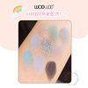 WODWOD dazzling macchiato eyeshadow plate Matte Pearlescent fine flash delicate non-flying pink nine-color eyeshadow wholesale