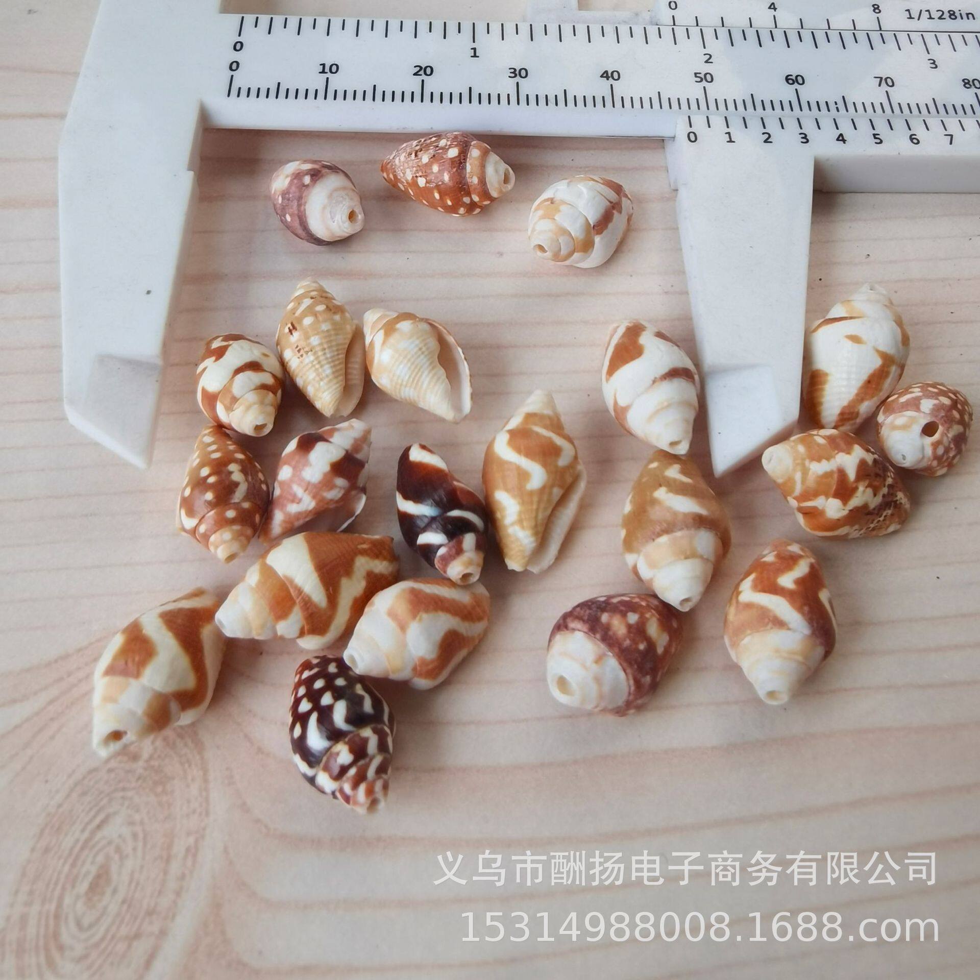 Natural shell conch perforated white corn snail DIY handmade jewelry necklace bracelet jewelry accessories material manufacturers