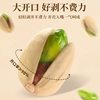 Pistachio Nuts Roasted Snacks in Bulk 500g Original Flavor Salted Dried Fruit Children's Popular Leisure Snacks Specialty