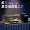 Goldfish Tank Living Room Desktop Ultra-White Glass Side Filter Stream Tank New Dry and Wet Separation Ecological All-In-One Landscaping Tank