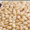 Northeast Fresh Raw Pine Nuts Original Shelled Shell-Free Small Package Nuts Snacks Commercial
