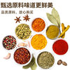 Curry Seasoning Spices Commercial Seasoning Turmeric Powder Bulk Supply Yellow Curry Powder