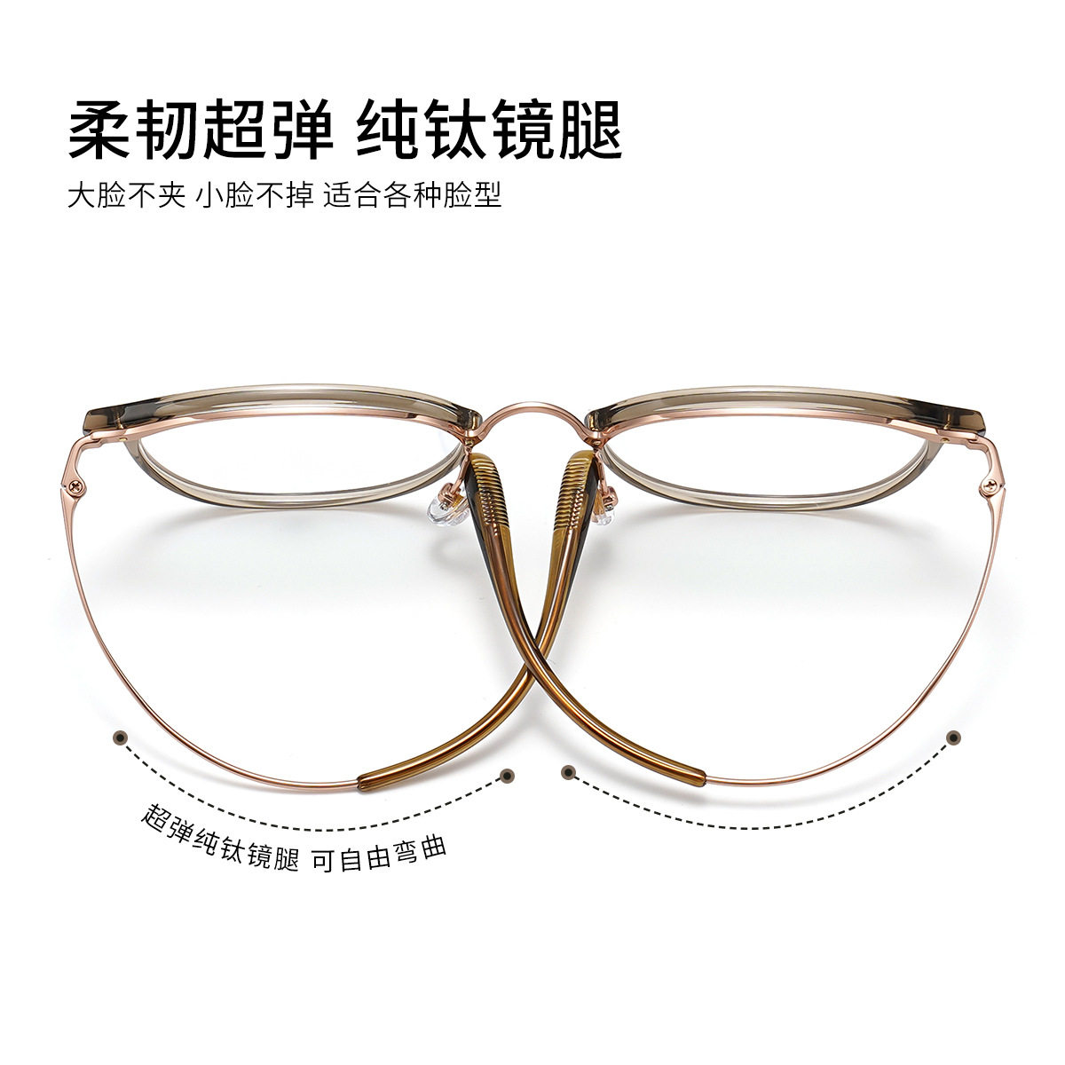 Net red plain pure titanium mirror leg glasses frame wholesale 6632 retro cold brown myopia TR90 frame Danyang glasses
